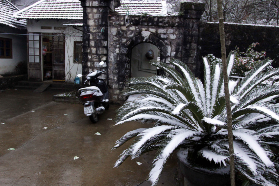 (Ảnh: Thế Duyệt/TTXVN)