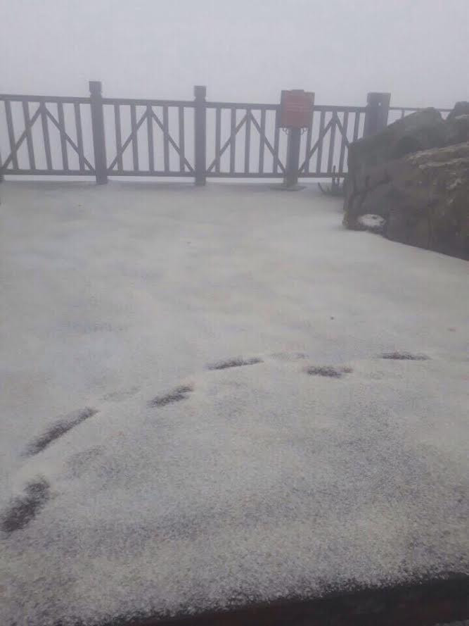 Hạt đá nhỏ như đầu đũa cùng với mưa rào nhẹ rơi xuống với mật độ dày, tạo thành những thảm đá trắng xóa. (Nguồn: CTV/Vietnam+)