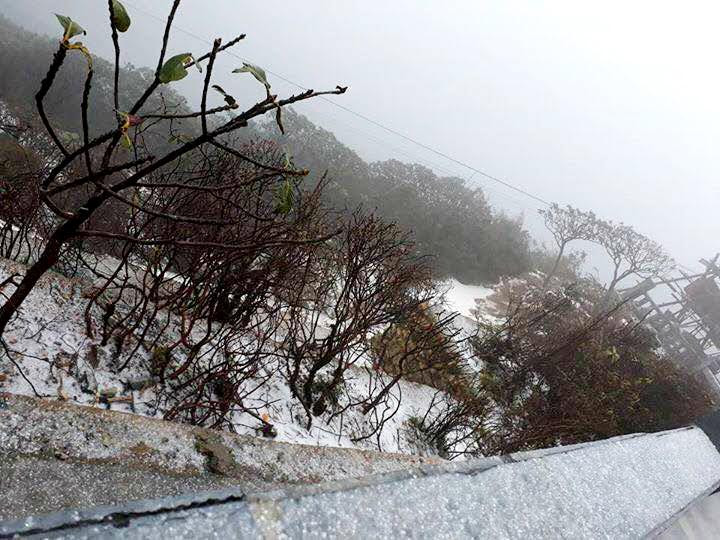 Dọc tuyến đường lên đỉnh Fansipan, mưa băng bao phủ khắp các bậc thềm đá. (Nguồn: CTV/Vietnam+)