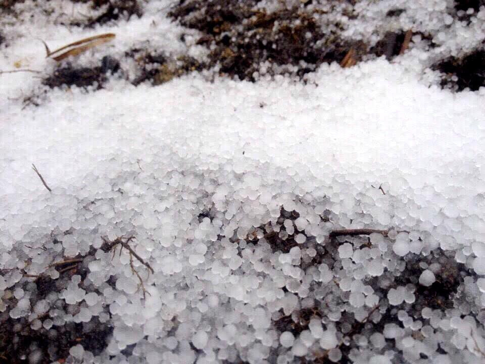 Từ trưa 3/2, mưa đá xuất hiện trắng xóa tại khu vực từ nhà ga đến của tuyến cáp treo cho tới đỉnh Fansipan. (Nguồn: CTV/Vietnam+)