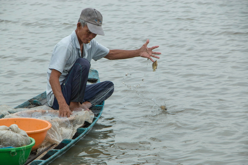 Giăng lưới bắt cá trong mùa nước nổi. (Ảnh: Duy Khương/TTXVN)