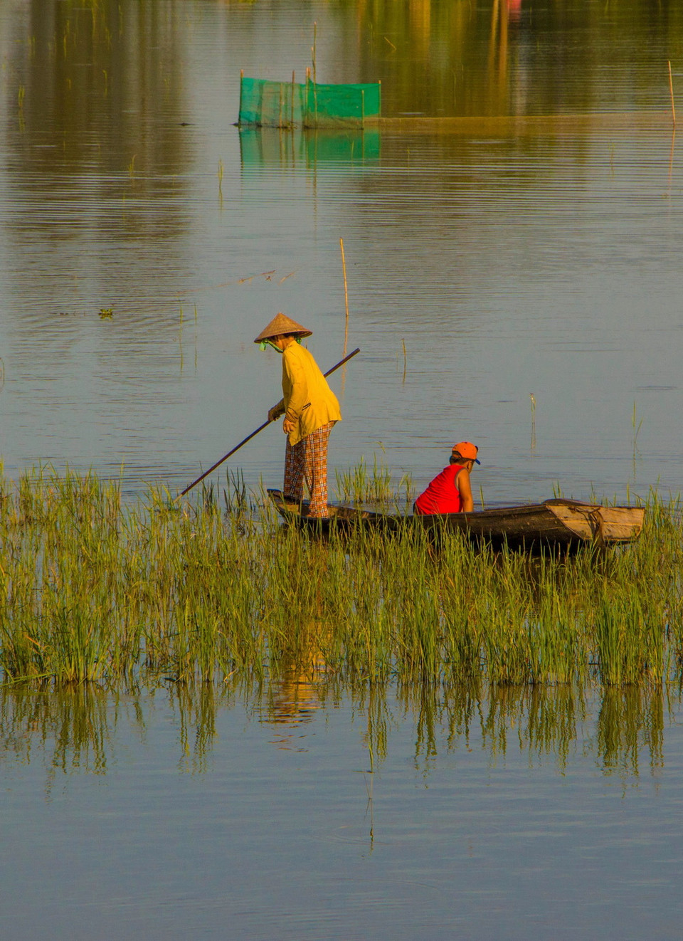 Cánh đồng mùa nước nổi tại xã Vị Thanh, huyện Vị Thủy. (Ảnh: Duy Khương/TTXVN)