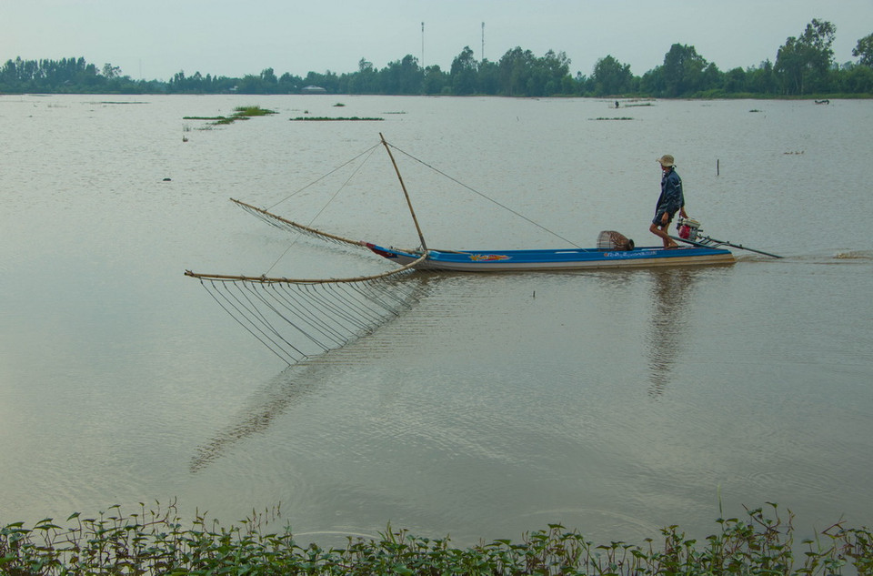 Đẩy côn bắt cá trên cánh đồng mùa nước nổi. (Ảnh: Duy Khương/TTXVN)