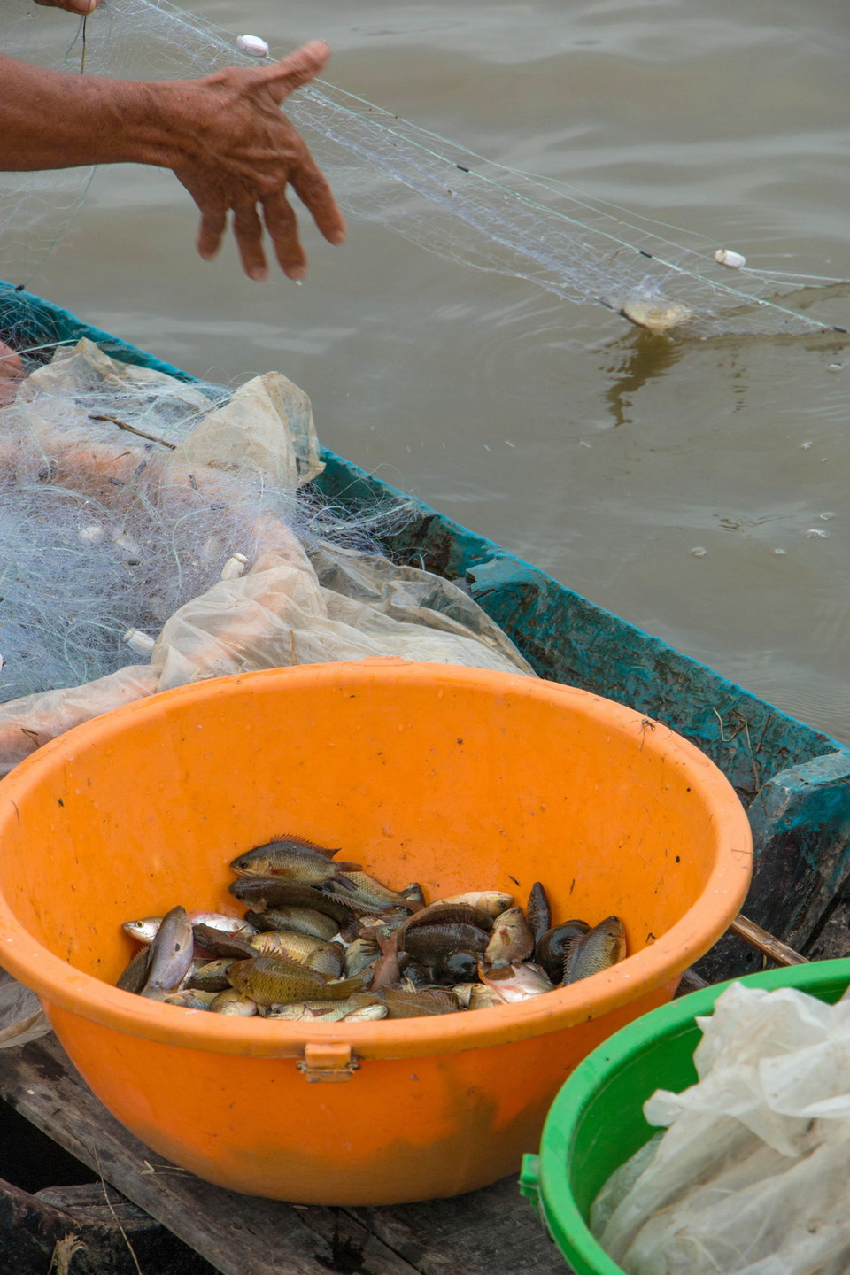 Sản vật mùa nước nổi. (Ảnh: Duy Khương/TTXVN)