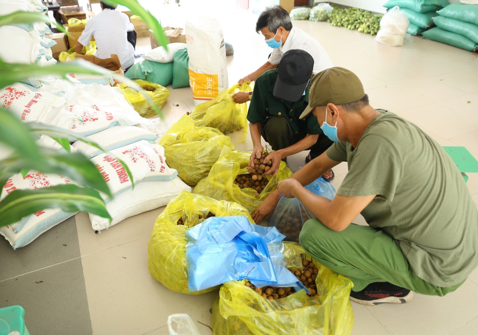 Từ 5-12/8/2021, phường Dương Nội (quận Hà Đông) tổ chức trao 1.900 suất quà, mỗi suất gồm 5 cân gạo, 5 gói mỳ, 1 gói muối, trứng, rau củ quả … cho người gặp khó khăn, mất việc do dịch COVID-19 trên địa bàn. (Ảnh: Hoàng Hiếu/TTXVN)