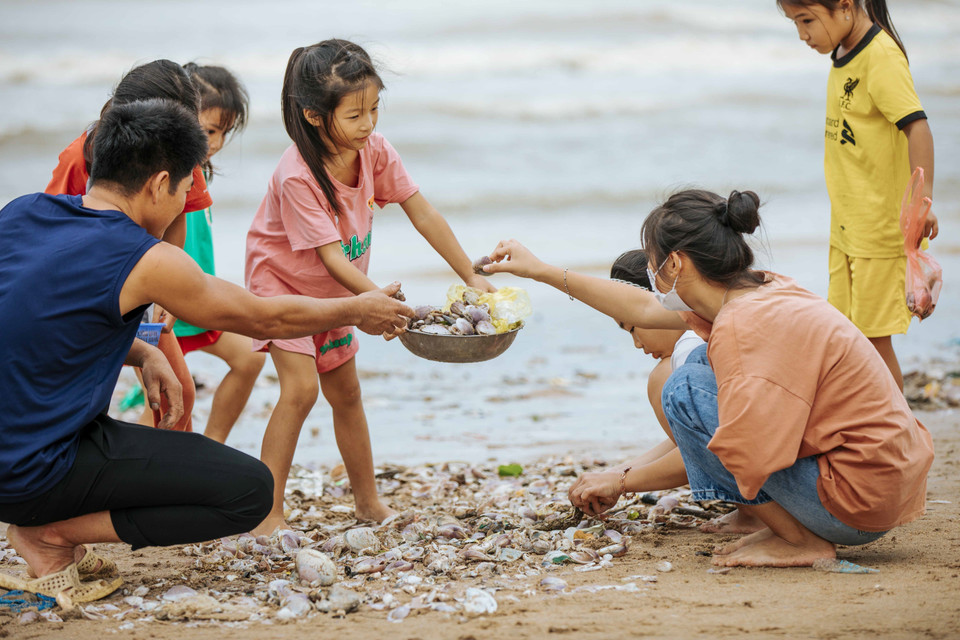 Nhiều trẻ nhỏ cũng ra vớt, phân loại ngao sò dạt vào bờ biển đoạn qua xã Quỳnh Liên và Quỳnh Phương (thị xã Hoàng Mai, Nghệ An). (Ảnh: TTXVN phát)