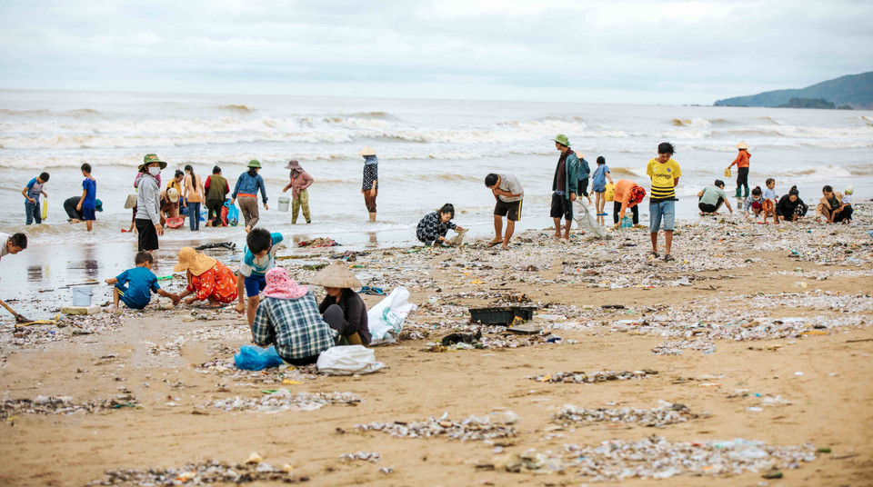 Người dân hào hứng phân loại, vớt ngao, sò dạt vào bờ biển sau mưa lớn đoạn qua xã Quỳnh Liên và Quỳnh Phương (thị xã Hoàng Mai, Nghệ An). (Ảnh: TTXVN phát)