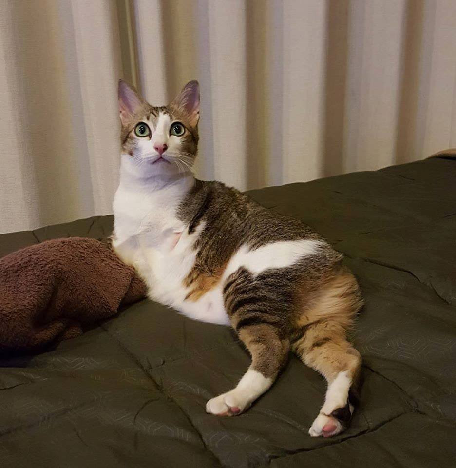 Khi xảy ra vụ giật điện, người dân gần đó nghĩ rằng một quả bom đã phát nổ. (Nguồn: CCTV)