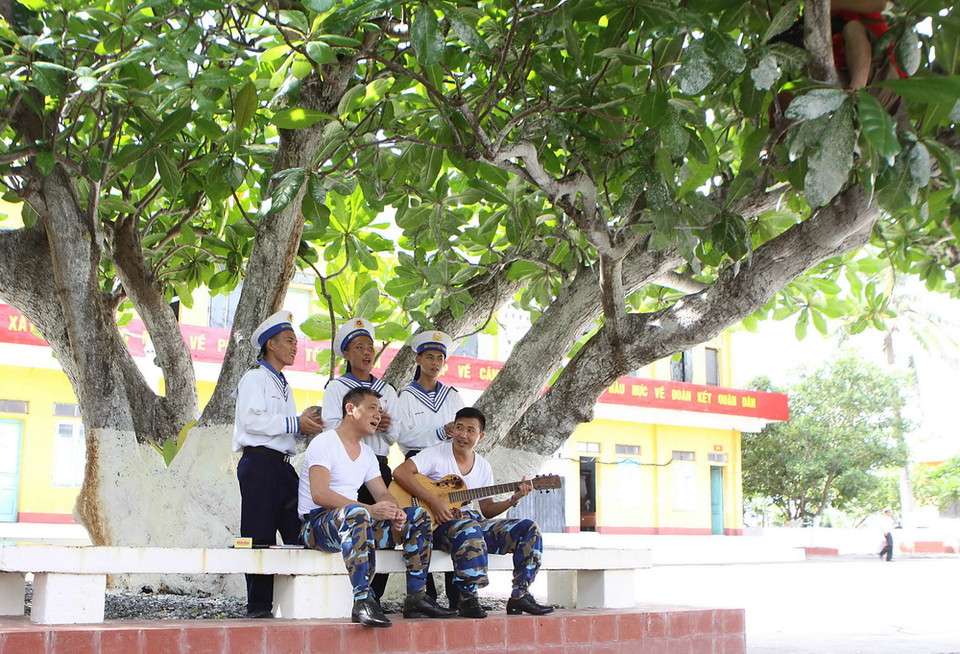 Cây bàng vuông cổ thụ trên đảo Nam Yết. (Ảnh: Dương Giang/TTXVN)