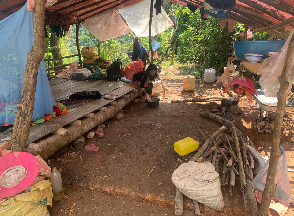 Mỗi lán trại sẽ ở theo gia đình hoặc người thân từ 6 đến hơn 10 người. (Ảnh: Nhóm PV TTXVN tại Lai Châu)