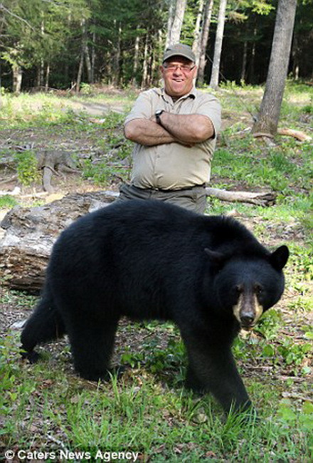 Richard không hề tỏ ra sợ hãi và ngại ngần khi tiếp xúc với những con gấu. (Nguồn: Caters News Agency)