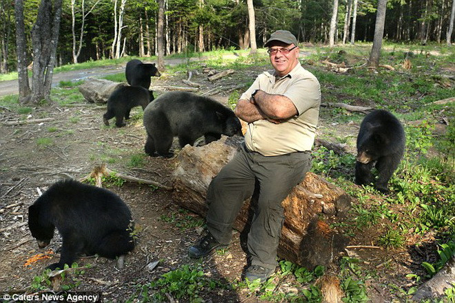 Richard thường cho gấu ăn và chơi đùa cùng chúng. (Nguồn: Caters News Agency)