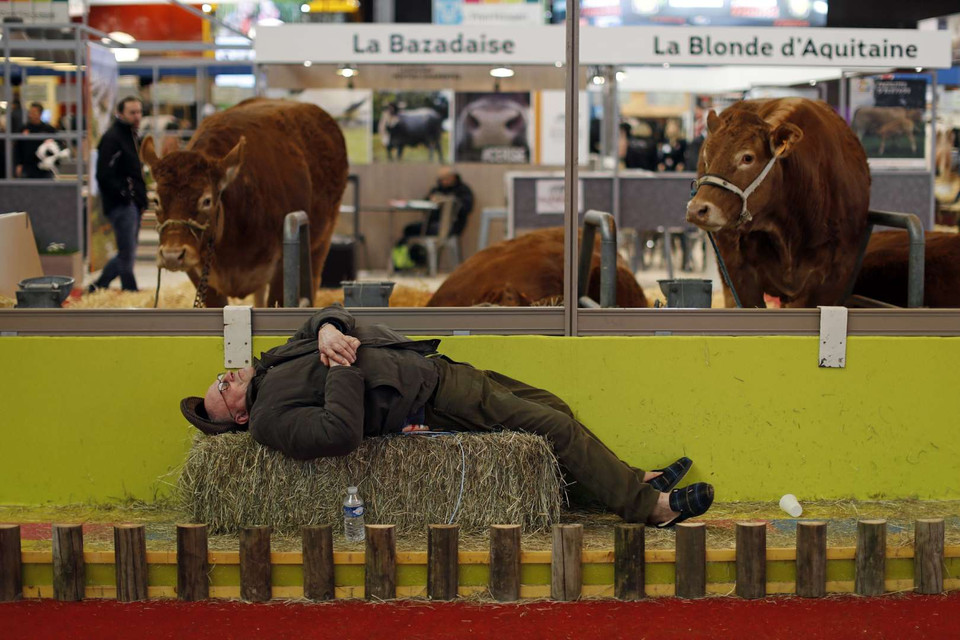 Một nông dân tham gia hội chợ nông nghiệp quốc tế ở Paris, Pháp