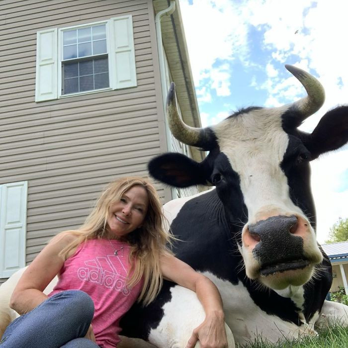 Cheryl Stephen, chủ nhân của Sarge, là một người yêu thương động vật. Cô thường giải cứu những con vật gặp nạn. (Nguồn: BoredPanda)