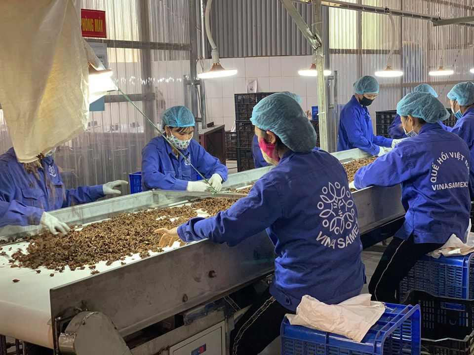  Tinh thần lao động sản xuất khẩn trương tại Công ty Vina Samex (Ảnh CTV/Vietnam+)