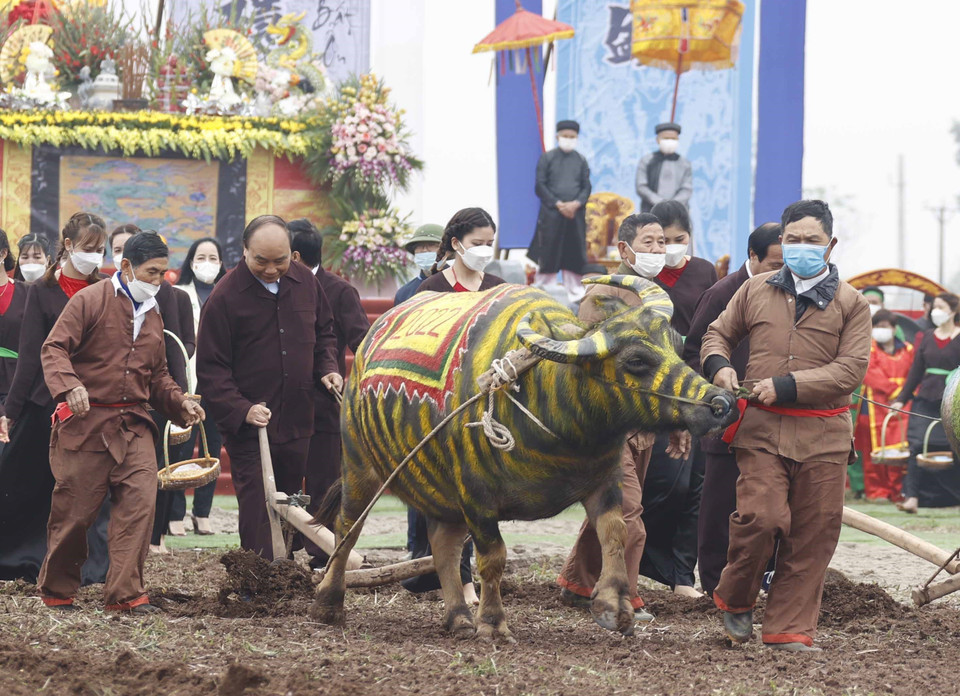 Hình ảnh Chủ tịch nước Nguyễn Xuân Phúc xuống đồng cày ruộng đầu năm mới.(Ảnh: Thống Nhất/TTXVN)