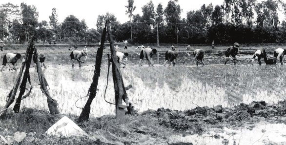 Khắp các địa phương của tỉnh Hưng Yên dấy lên phong trào 'tay cày, tay súng và tay búa, tay súng,' 'Toàn dân chi viện chiến trường,' đẩy phong trào thi đua 'Quyết tâm đánh thắng giặc Mỹ xâm lược' lên cao hơn, rầm rộ và phong phú hơn. (Ảnh: Tư liệu/TTXVN phát)
