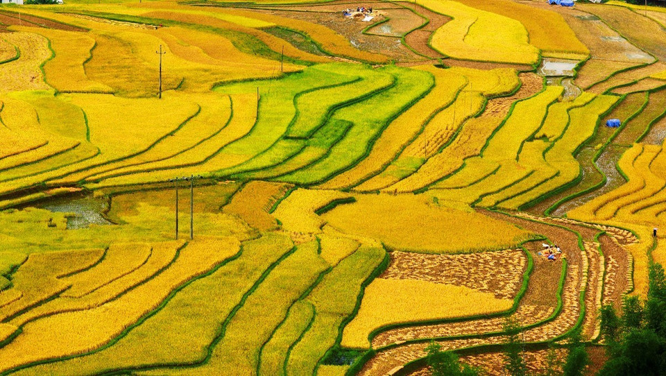 (Ảnh: Lâm Khánh/TTXVN)