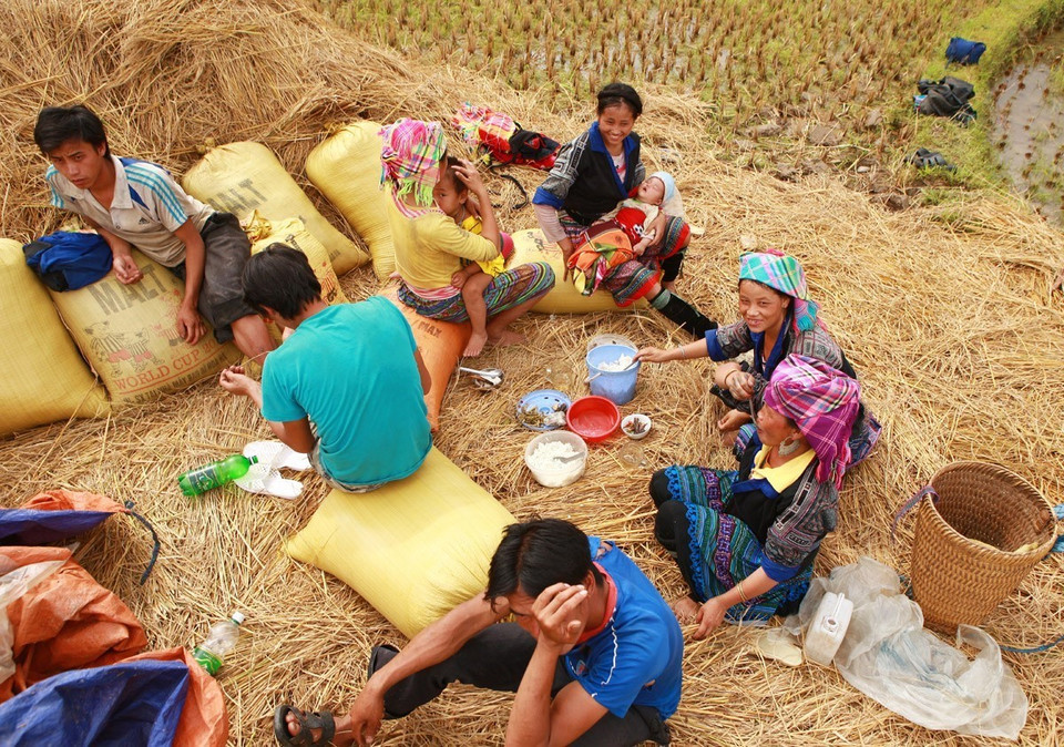 Bữa trưa ngày mùa được những người phụ nữ H'Mông chuẩn bị sẵn từ nhà với cơm và măng xào ớt - món ăn đặc trưng nơi đây.(Ảnh: Lâm Khánh/TTXVN)