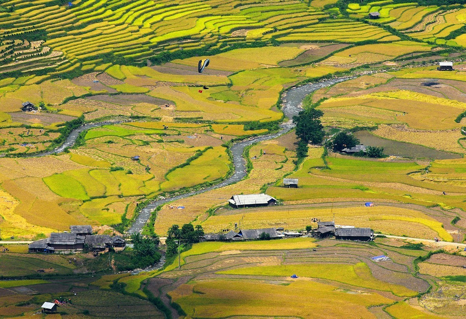 Bản Lìm Thái với những ngôi nhà sàn đơn sơ nằm xen kẽ với những thửa ruộng bậc thang. (Ảnh: Lâm Khánh/TTXVN)