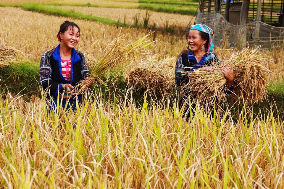 Người H'Mông nổi tiếng mến khách với nụ cười thường trực trên môi. (Ảnh: Lâm Khánh/TTXVN)