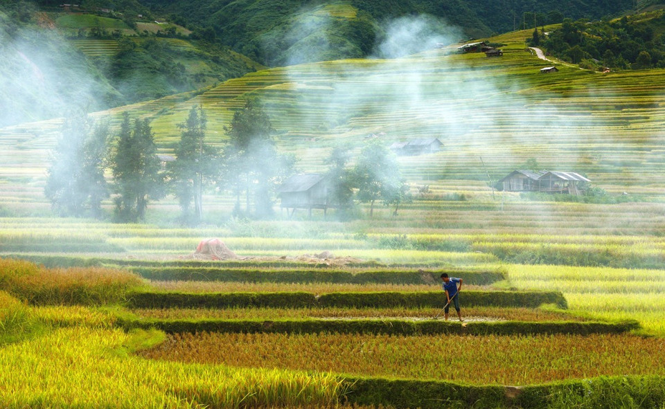 Kỹ thuật canh tác độc đáo của người dân ở La Pán Tẩn, Chế Cu Nha, Dế Xu Phình đã biến Mù Cang Chải - cái tên có nghĩa là làng cây khô, trở thành vùng đất đầy sức sống như ngày nay. (Ảnh: Lâm Khánh/TTXVN)