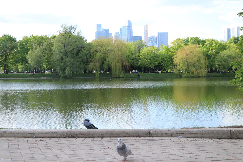 Không gian xanh yên bình ở công viên. (Ảnh: Hùng Võ/Vietnam+)