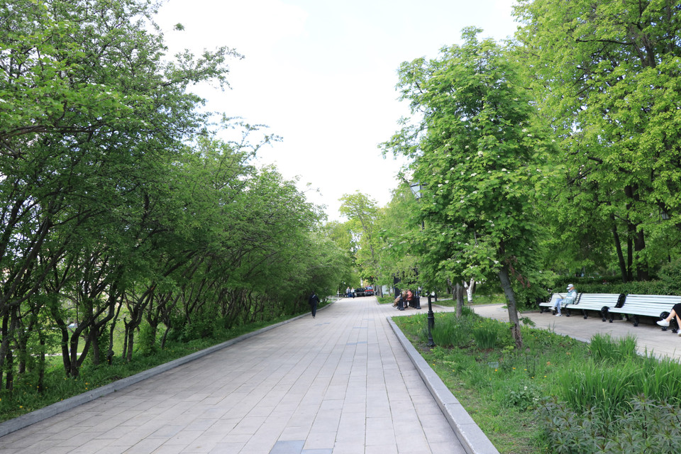 Cây xanh bao phủ khắp công viên. (Ảnh: Hùng Võ/Vietnam+)