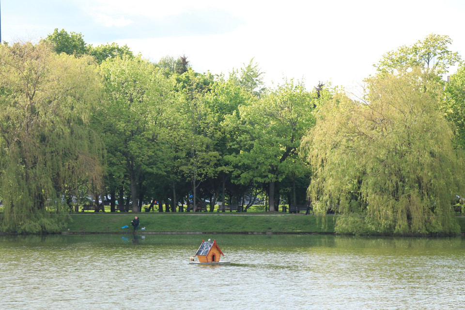 Một "ngôi nhà" bằng gỗ dành cho vịt trời được bố trí ở giữa hồ, bên trong công viên. (Ảnh: Hùng Võ/Vietnam+)﻿