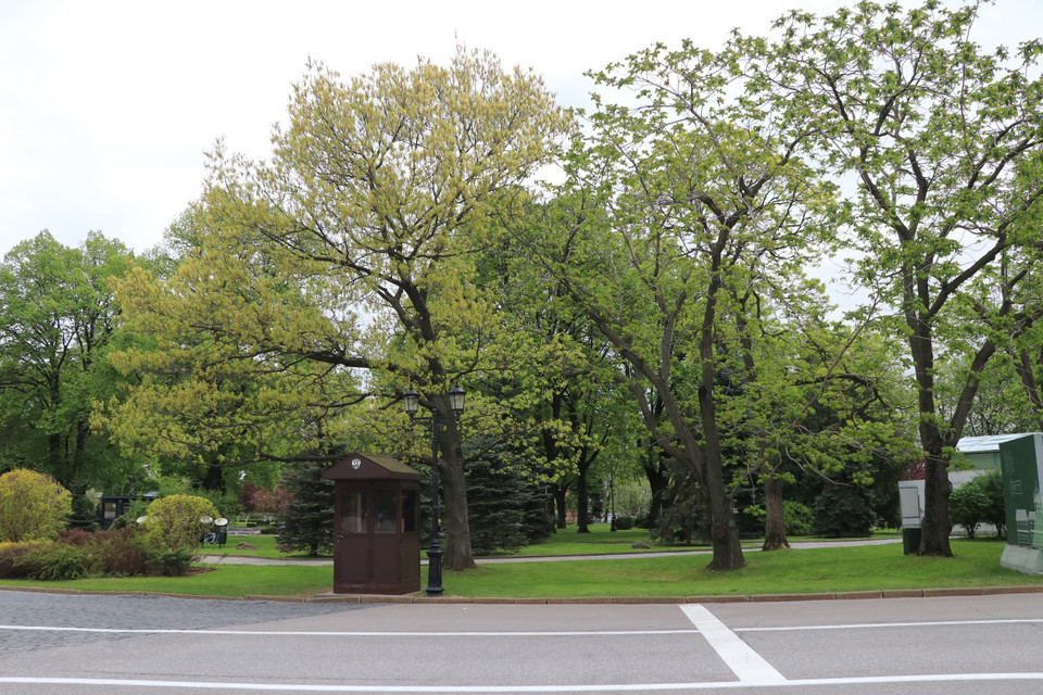 Thủ đô của nước Nga hiện có khoảng 500 công viên, trong đó nhiều công viên được xây dựng trong khoảng 10 năm trở lại đây. (Ảnh: Hùng Võ/Vietnam+)