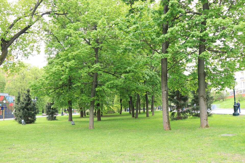 Không gian xanh bao phủ khắp mọi nơi ở Thủ đô Moskva. (Ảnh: Hùng Võ/Vietnam+)