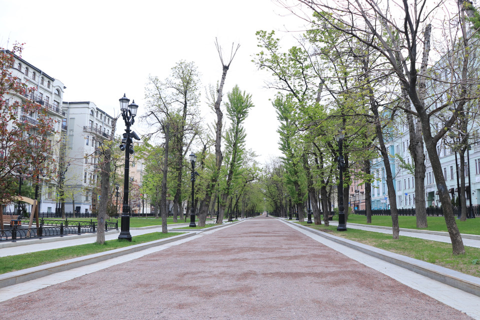 Cây xanh được trồng khắp nơi ở giữa lòng Thủ đô Moskva. (Ảnh: Hùng Võ/Vietnam+)