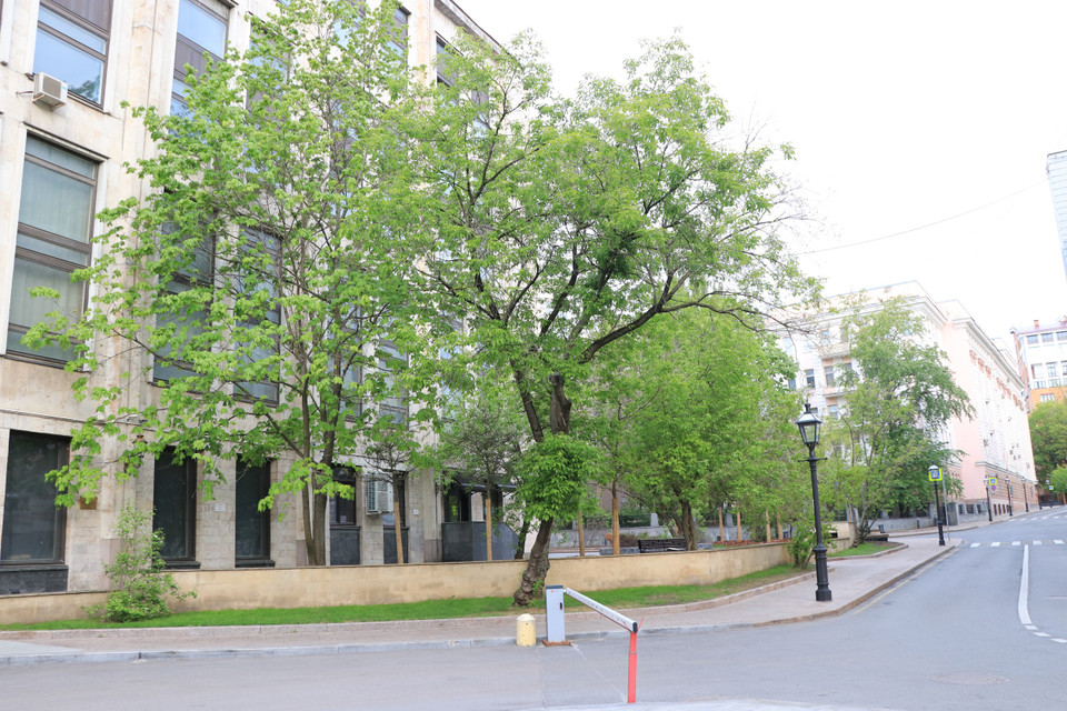 Cùng với thời gian, mỗi năm Moskva lại trở nên thân thiện môi trường hơn bởi lớp lớp cây xanh mọc lên ở giữa lòng đại đô thị rộng lớn. (Ảnh: Hùng Võ/Vietnam+)