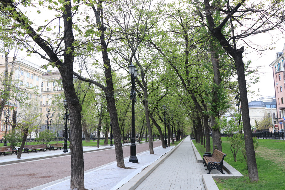 Không gian xanh ở Thủ đô Moskva chiếm gần 50% diện tích của đại đô thị nên không khí rất trong lành, mát mẻ. (Ảnh: Hùng Võ/Vietnam+)