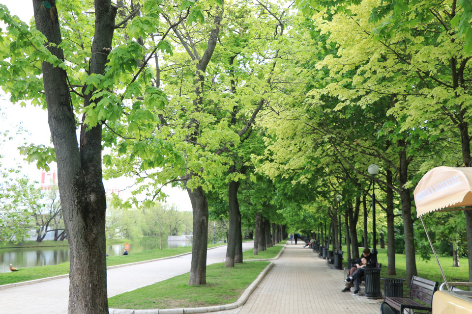 Công viên tu viện Novodevichy được các bạn trẻ chọn làm nơi hẹn hò, tâm sự, bởi không gian xanh lãng mạn. (Ảnh: Hùng Võ/Vietnam+)