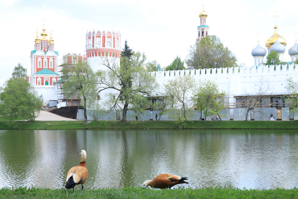 Tu viện Novodevichy là một quần thể các tòa nhà tôn giáo có tường bao quanh, mang đậm dấu ấn kiến trúc Baroque Nga. (Ảnh: Hùng Võ/Vietnam+)