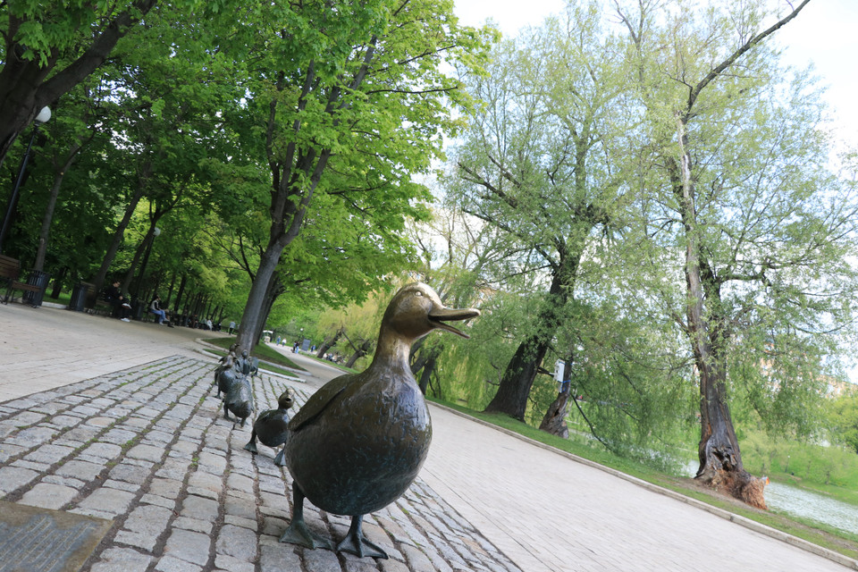 Tác phẩm điêu khắc này dựa trên câu chuyện cổ tích Mỹ “Nhường đường cho vịt con.” (Ảnh: Hùng Võ/Vietnam+)