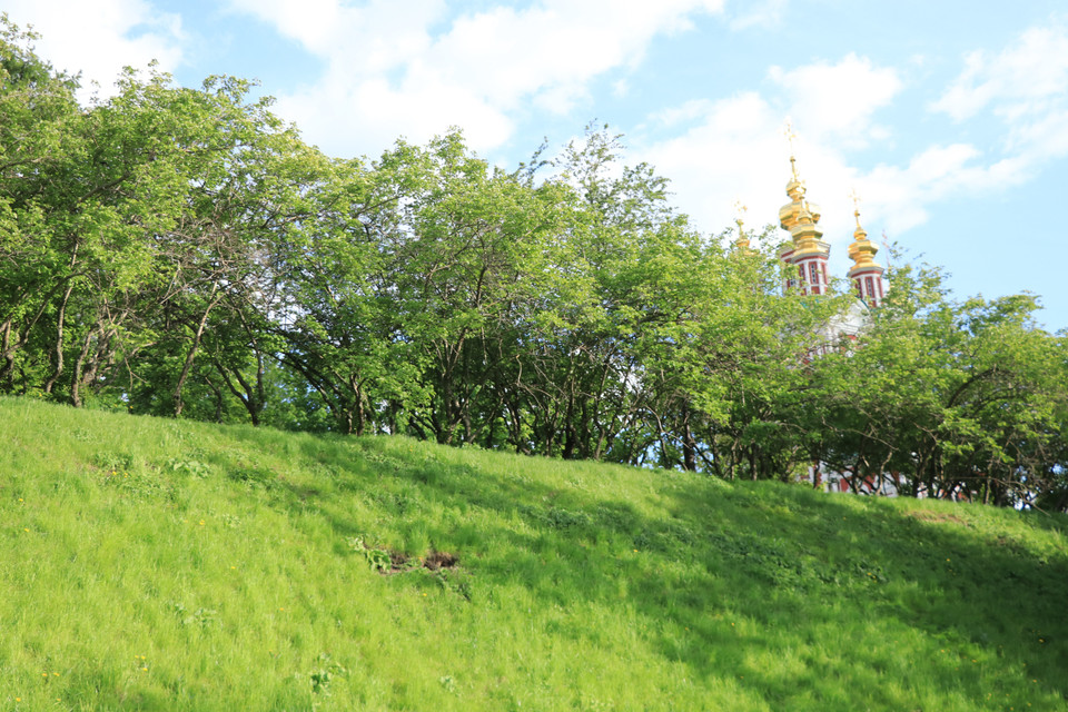 Không gian xanh mướt ở công viên. (Ảnh: Hùng Võ/Vietnam+)