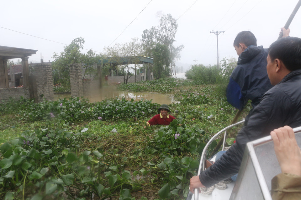  Nước lũ dâng cao cùng việc bèo tây bám dày đặc khiến việc di chuyển bằng thuyền, ca nô của dân cũng như đoàn cứu trợ gặp nhiều khó khăn ở xã Hưng Yên Bắc, huyện Hưng Nguyên. (Ảnh: Bích Huệ/TTXVN)