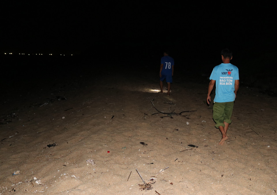 Thành viên tổ bảo vệ rùa biển của Khu Dự trữ Sinh quyển Núi Chúa tuần tra bãi biển - nơi rùa thường lên đẻ để bảo vệ trứng và rùa con không cho các loài thiên địch phá hoại và con người săn trộm. (Ảnh: Nguyễn Thành/TTXVN)
