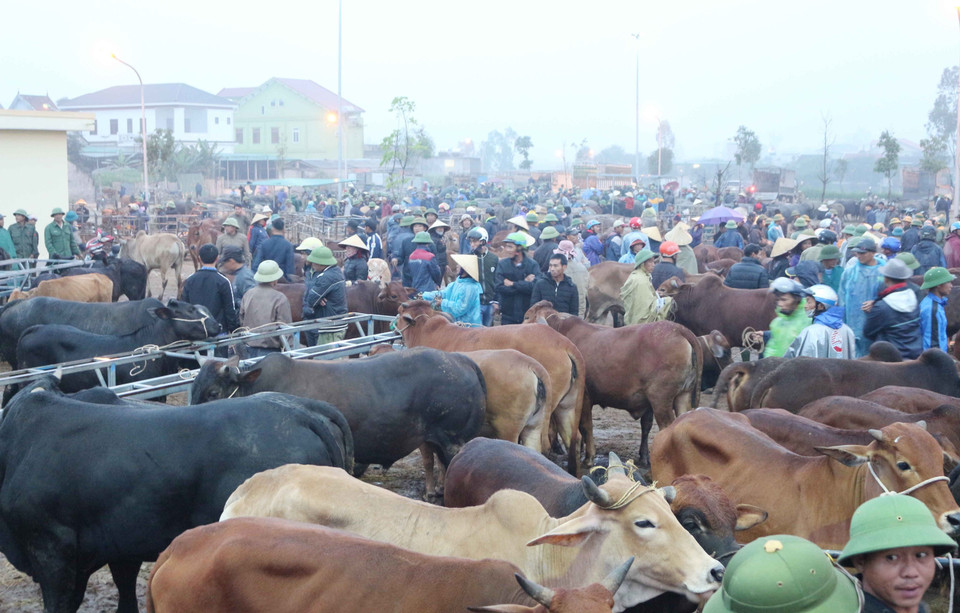  Chợ Ú họp một tháng 6 phiên vào ngày 1, 6, 11,16, 21, 26 Âm lịch. (Ảnh: Nguyễn Oanh/TTXVN)