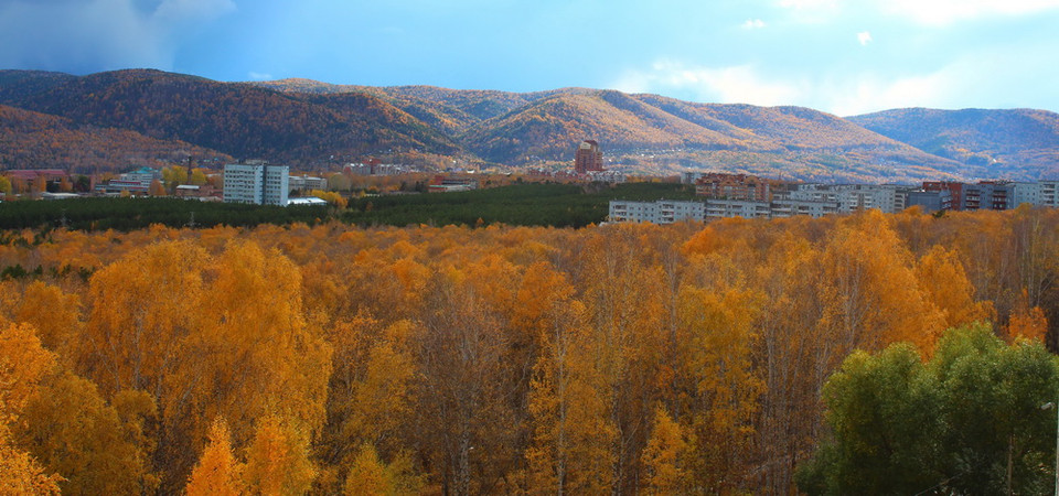 Thành phố Krasnoyarsk bên thung lũng của những cánh rừng Bạch dương. (Ảnh: Trần Hiếu/Vietnam+)