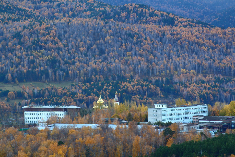 Những cánh rừng Bạch dương phủ khắp những sườn núi. (Ảnh: Trần Hiếu/Vietnam+)