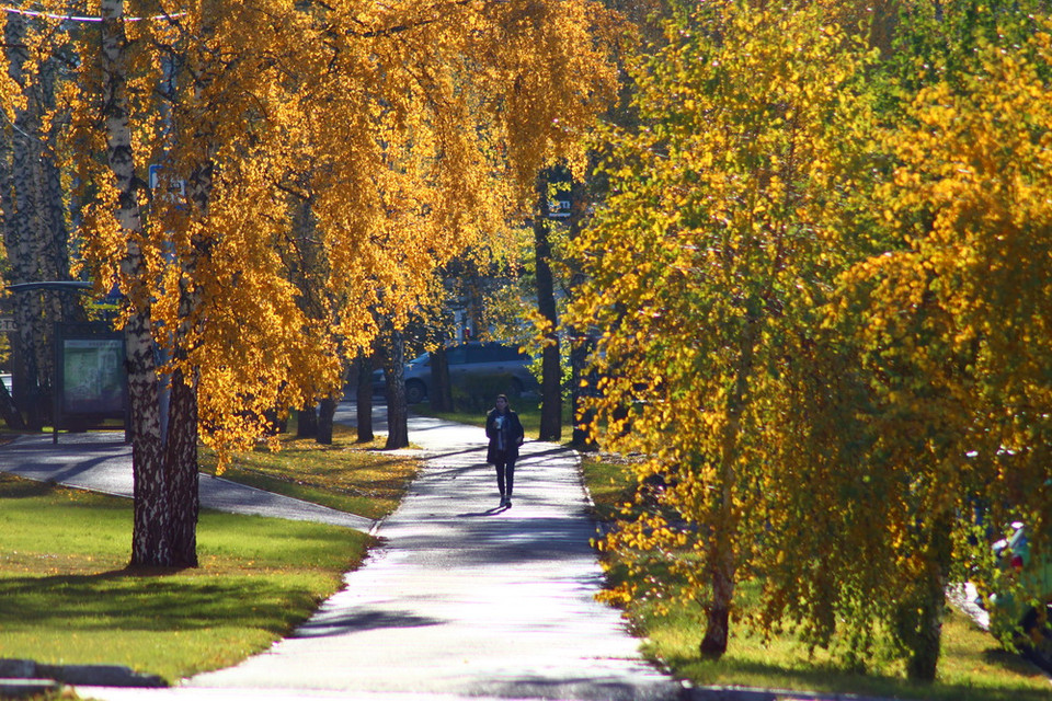 Phong cảnh mùa Thu nước Nga luôn hấp dẫn người xem. (Ảnh: Trần Hiếu/Vietnam+)