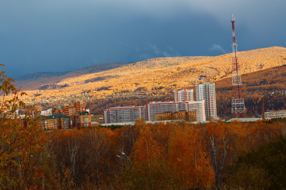 Rừng Bạch dương trong ánh sáng nhẹ cuối Thu. (Ảnh: Trần Hiếu/Vietnam+)