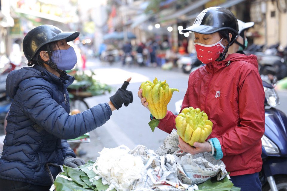 Người dân chọn mua quả Phật thủ để cúng trên bàn thờ mong muốn phù hộ cho gia đình gặp may mắn, an lành và no ấm. (Ảnh: Hoàng Hiếu/TTXVN)