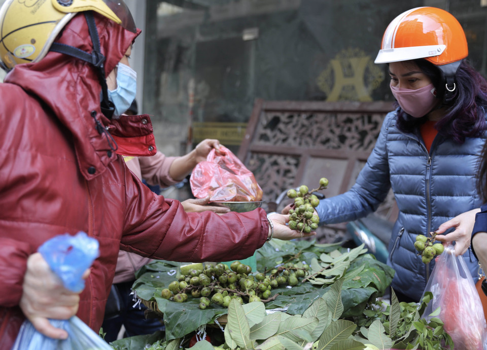 Người dân chọn mua quả sung tượng trưng cho sự sung mãn, no ấm. (Ảnh: Hoàng Hiếu/TTXVN)