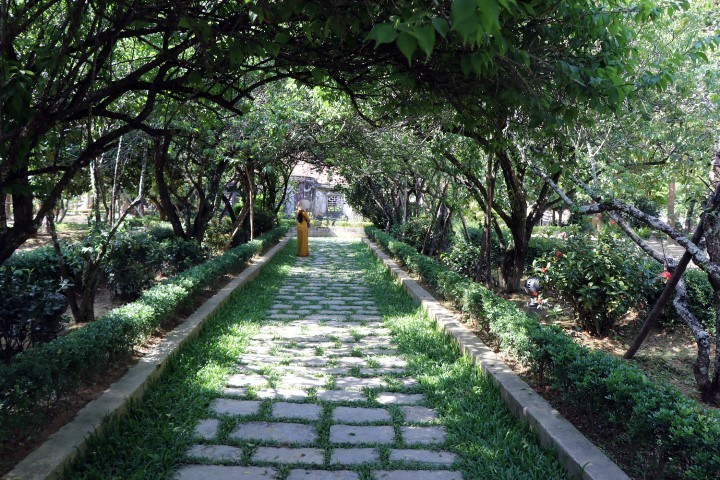 Con đường nhỏ rập bóng cây xanh dẫn vào nhà vườn An Hiên. (Ảnh: Đỗ Trưởng/TTXVN)