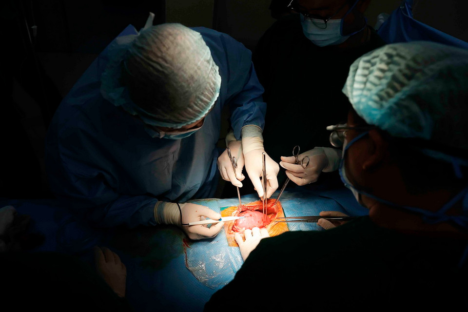 Đến nay, Bệnh viện Đa khoa Đức Giang đã thực hiện thành công 5 ca ghép thận và làm chủ được kỹ thuật ghép thận. (Ảnh: Minh Quyết/ TTXVN)