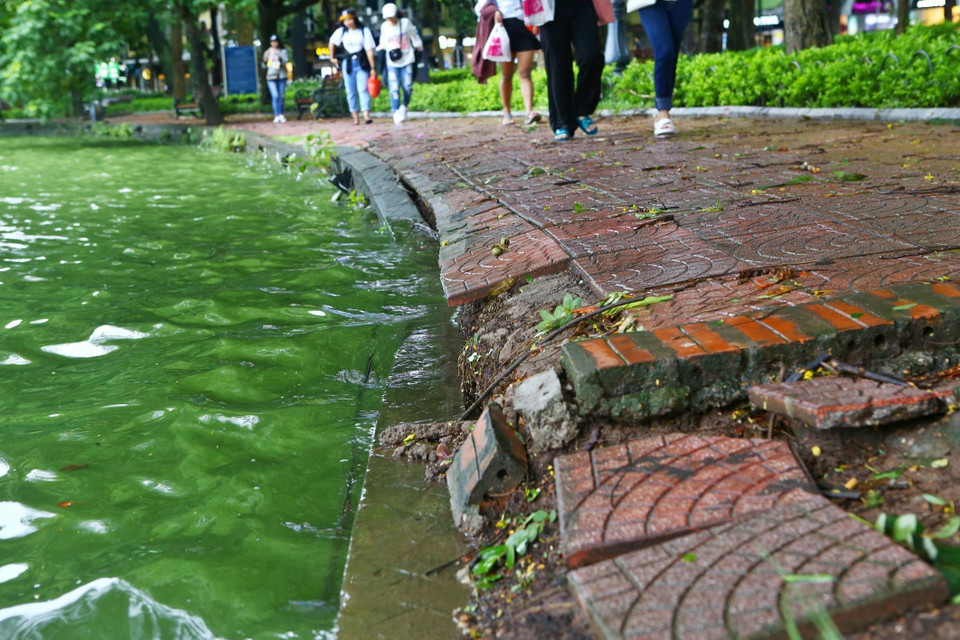 Nhiều vị trí đã mất chân kè dẫn đến hệ thống đường dạo sát mép hồ nhiều điểm bị lún sụt, gây nguy hiểm cho người dân và khách du lịch. (Ảnh: Minh Quyết/TTXVN)